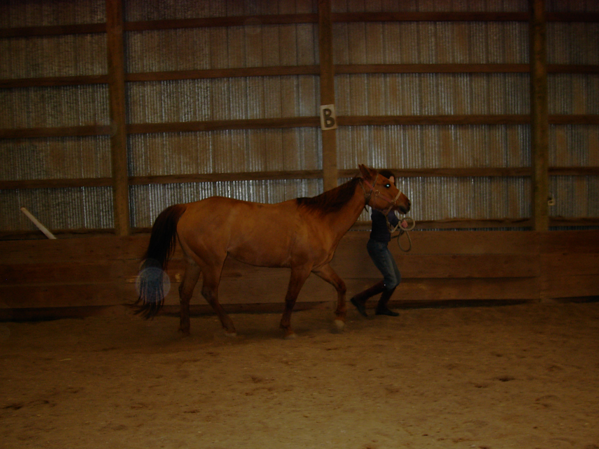 boulderwood013.jpg